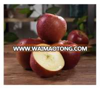 New sweet red delicious huaniu apple