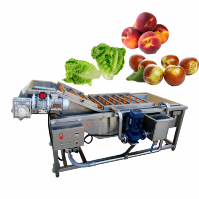 Spray Type Water Bubble Mango Date Fruit Washer Leaf Vegetable Cleaning Automatic Fruit And Vegetable Washing Machine