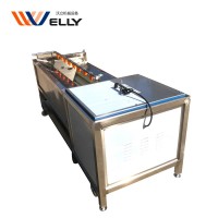 Widely Used Brush Potato Cleaning Dates And Fruit & Vegetable Washer Cleaning Machine For Export