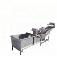 Conveyor Belt Fruit Washer