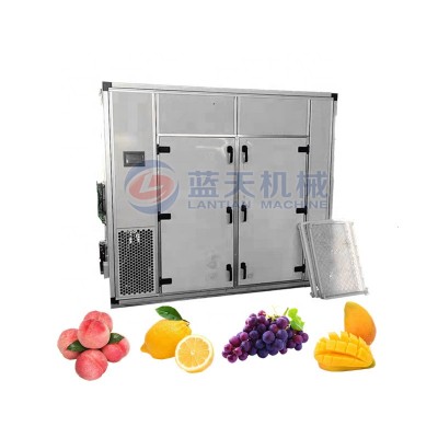 Apple drying machine mango dehydrator machine home fruit dehydrating machine