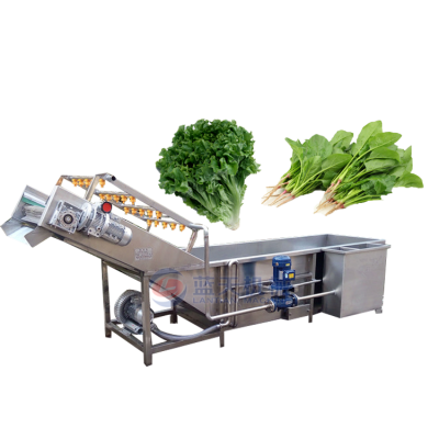 Leaf vegetable lettuce bubble washing machine price